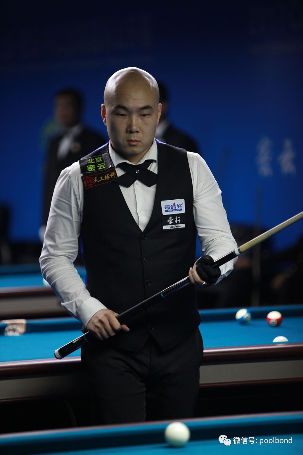 上做了精心 上做了精心